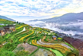 从江加榜梯田风光