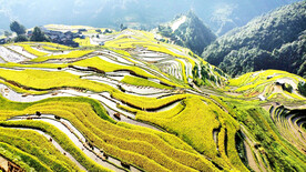 从江加榜梯田风光