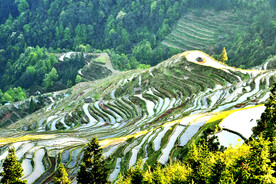 从江加榜梯田风光