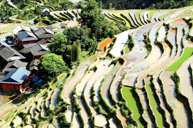 从江加榜梯田风光