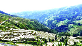 从江加榜梯田风光