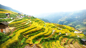 从江加榜梯田风光