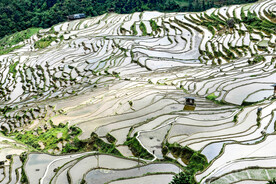 从江加榜梯田风光