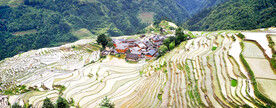 从江加榜梯田风光