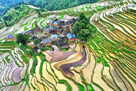 从江加榜梯田风光