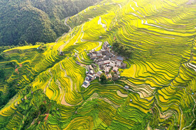 从江加榜梯田风光