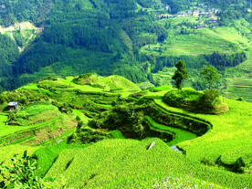 从江加榜梯田风光