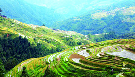 从江加榜梯田风光