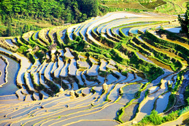 从江加榜梯田风光