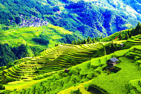从江加榜梯田风光