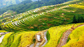 从江加榜梯田风光