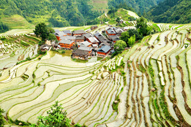 从江加榜梯田风光