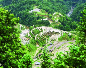 从江加榜梯田风光