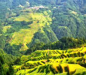 从江加榜梯田风光