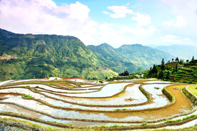 从江加榜梯田风光
