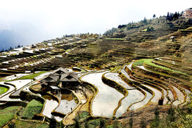从江加榜梯田风光