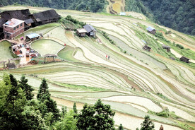 从江加榜梯田风光