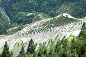 从江加榜梯田风光