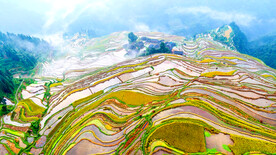 从江加榜梯田风光