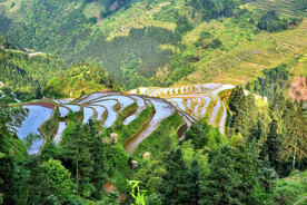 从江加榜梯田风光
