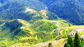 从江加榜梯田风光