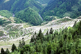 从江加榜梯田风光
