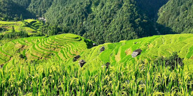 从江加榜梯田风光