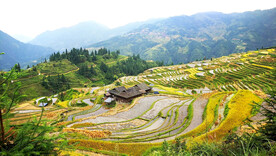 从江加榜梯田风光