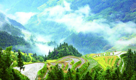 从江加榜梯田风光