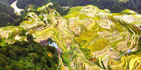 从江加榜梯田风光