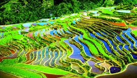 从江加榜梯田风光