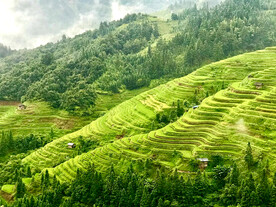 从江加榜梯田风