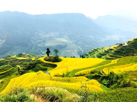 从江加榜梯田风光