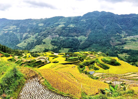从江加榜梯田风光