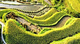 从江加榜梯田风光