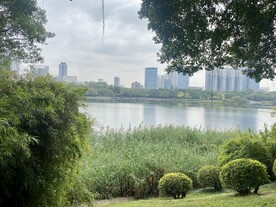 湖边绿草倒影风景