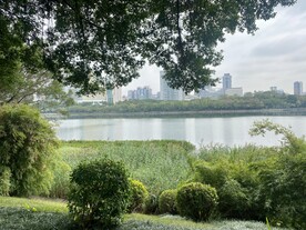 湖边绿草如茵风景