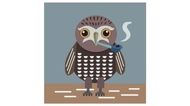 猫头鹰抱枕矢量