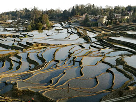 元阳哈尼梯田风光