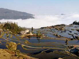 元阳哈尼梯田风光