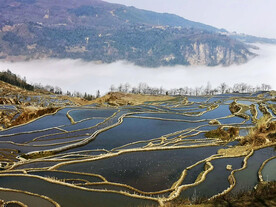 元阳哈尼梯田风光