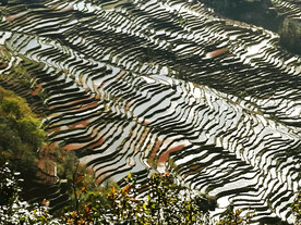 元阳哈尼梯田风光