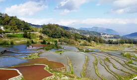 元阳哈尼梯田风光
