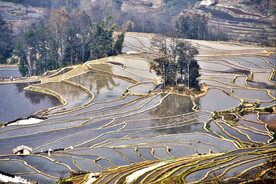 元阳哈尼梯田风光