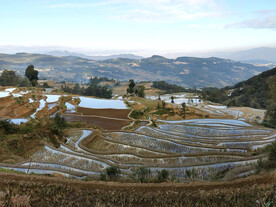 元阳哈尼梯田风光
