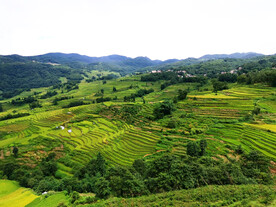 元阳哈尼梯田风光