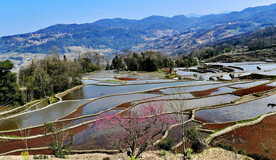 元阳哈尼梯田风光