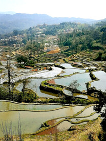 元阳哈尼梯田风光