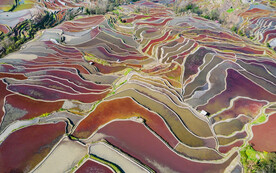 元阳哈尼梯田风光