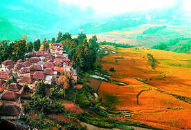 元阳哈尼梯田风光